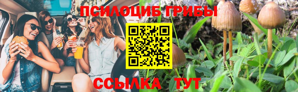 Галлюциногенные грибы прущие грибы Кулебаки